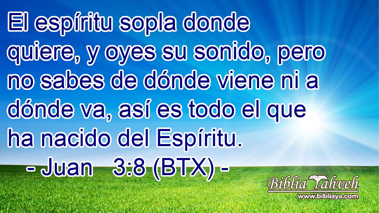 El espíritu sopla donde quiere, y oyes su sonido, pero no sabes de dónde viene ni a dónde va, así es todo el que ha nacido del Espíritu.