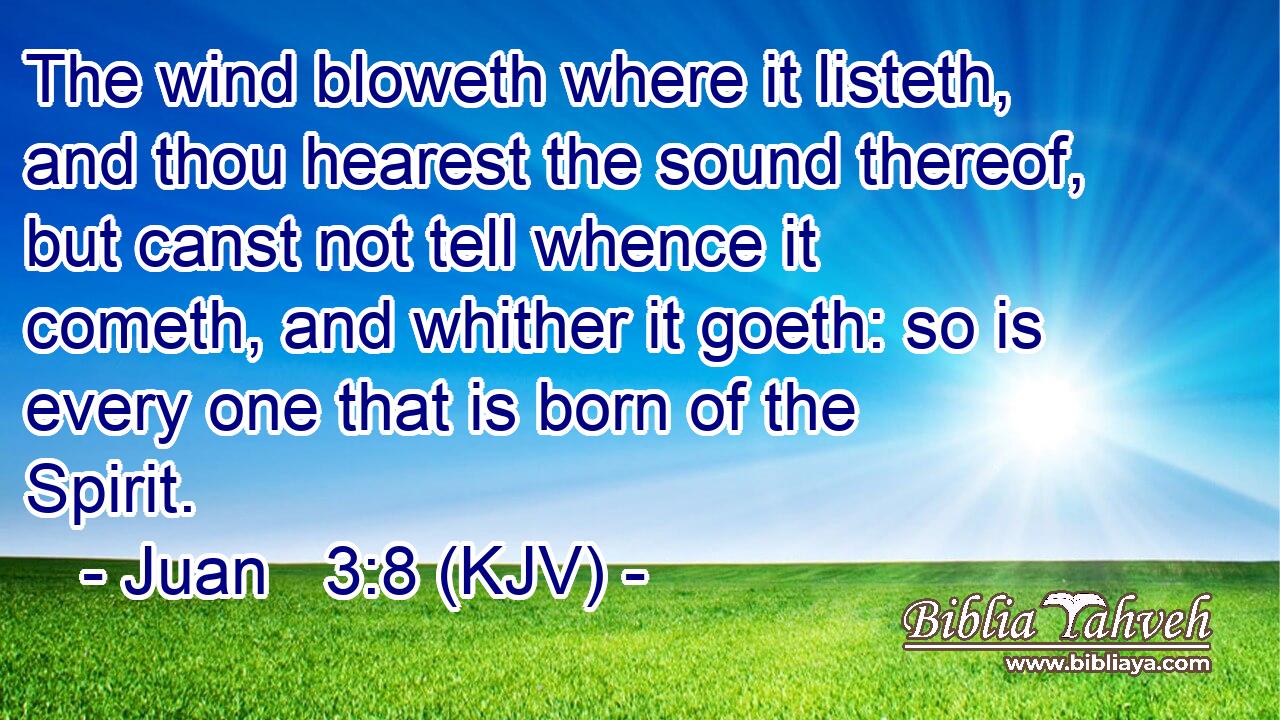 The wind bloweth where it listeth, and thou hearest the sound thereof, but canst not tell whence it cometh, and whither it goeth: so is every one that is born of the Spirit.