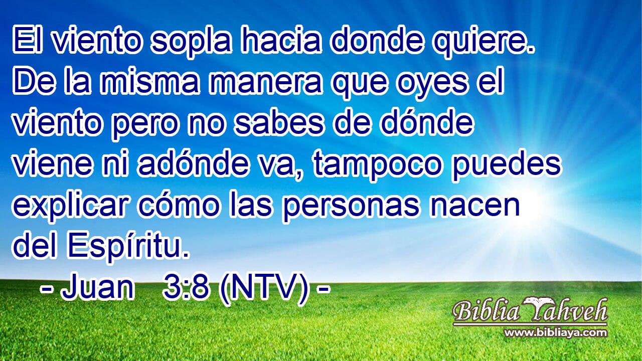 El viento sopla hacia donde quiere. De la misma manera que oyes el viento pero no sabes de dónde viene ni adónde va, tampoco puedes explicar cómo las personas nacen del Espíritu.