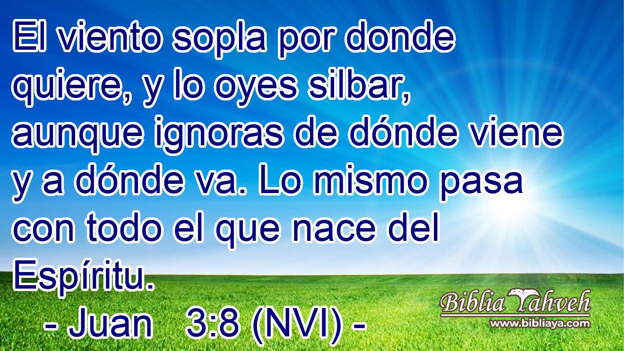  El viento sopla por donde quiere, y lo oyes silbar, aunque ignoras de dónde viene y a dónde va. Lo mismo pasa con todo el que nace del Espíritu. 