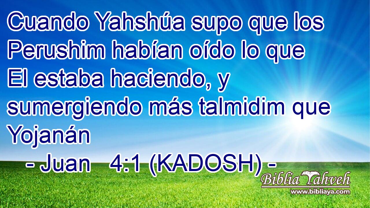  Cuando Yahshúa supo que los Perushim habían oído lo que El estaba haciendo, y sumergiendo más talmidim que Yojanán 