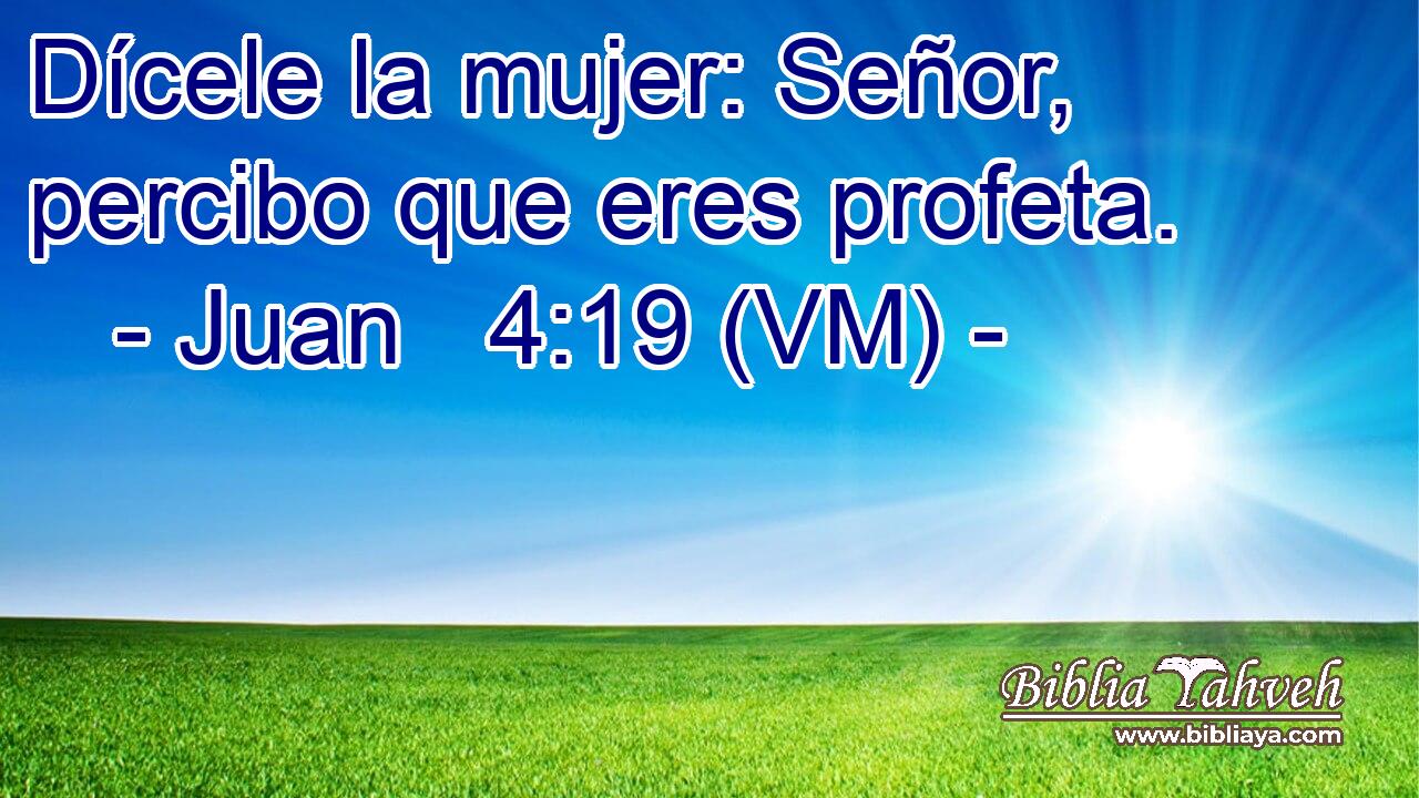  Dícele la mujer: Señor, percibo que eres profeta. 