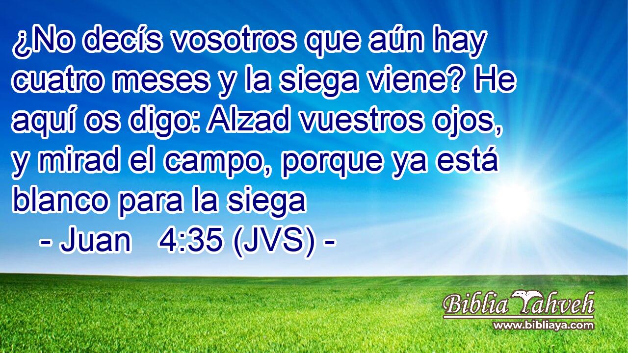 ¿No decís vosotros que aún hay cuatro meses y la siega viene? He aquí os digo: Alzad vuestros ojos, y mirad el campo, porque ya está blanco para la siega