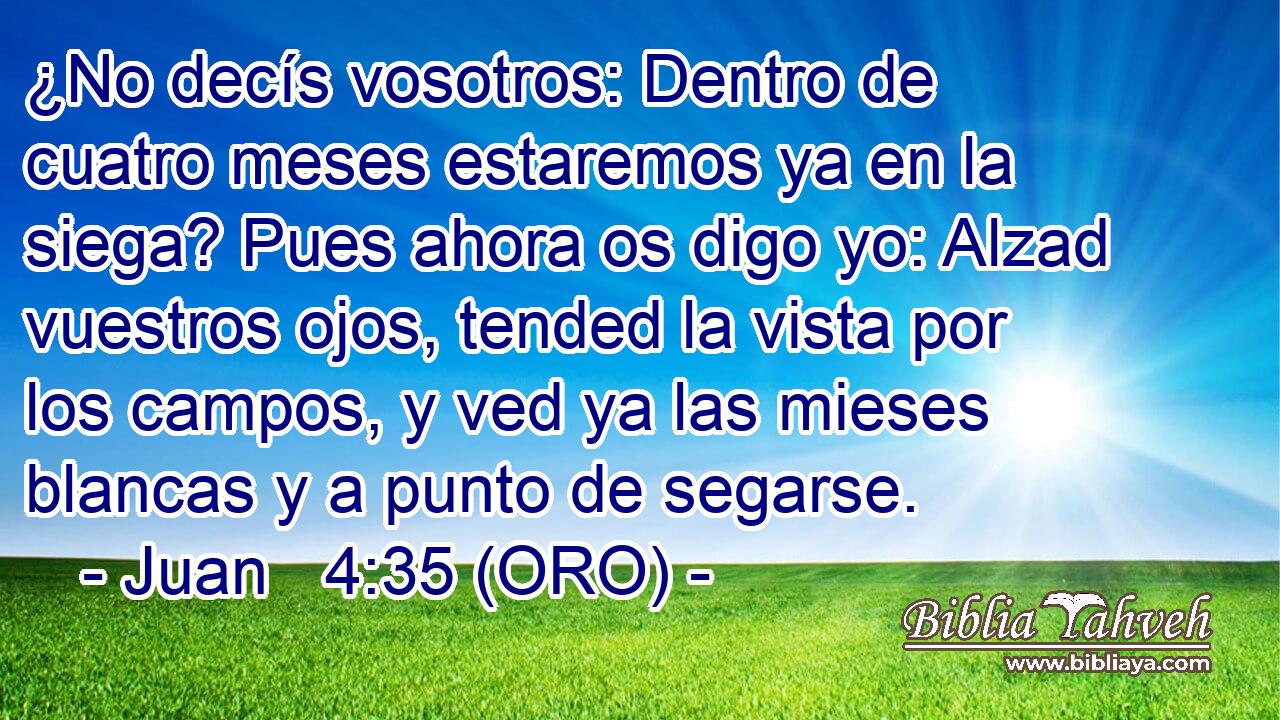  ¿No decís vosotros: Dentro de cuatro meses estaremos ya en la siega? Pues ahora os digo yo: Alzad vuestros ojos, tended la vista por los campos, y ved ya las mieses blancas y a punto de segarse. 