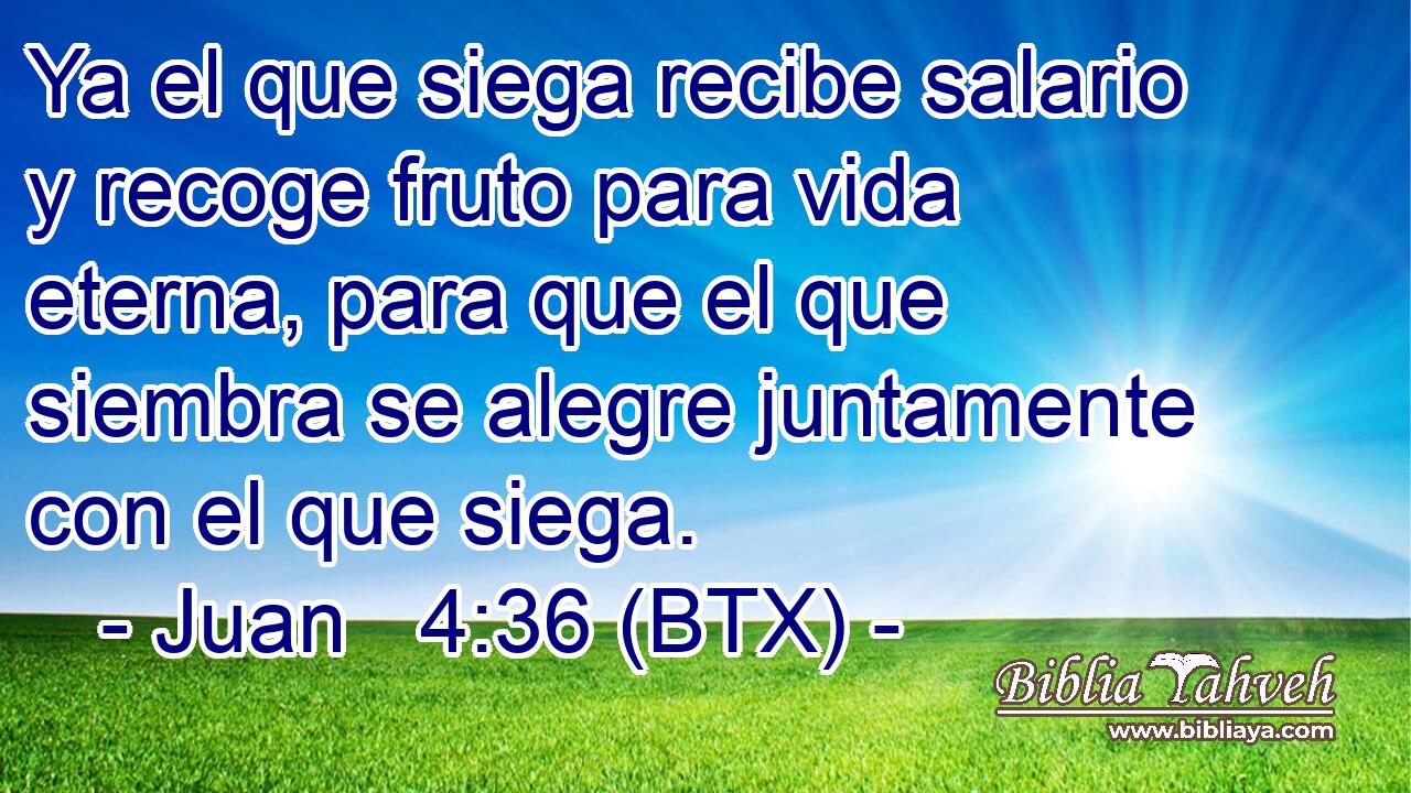 Ya el que siega recibe salario y recoge fruto para vida eterna, para que el que siembra se alegre juntamente con el que siega.