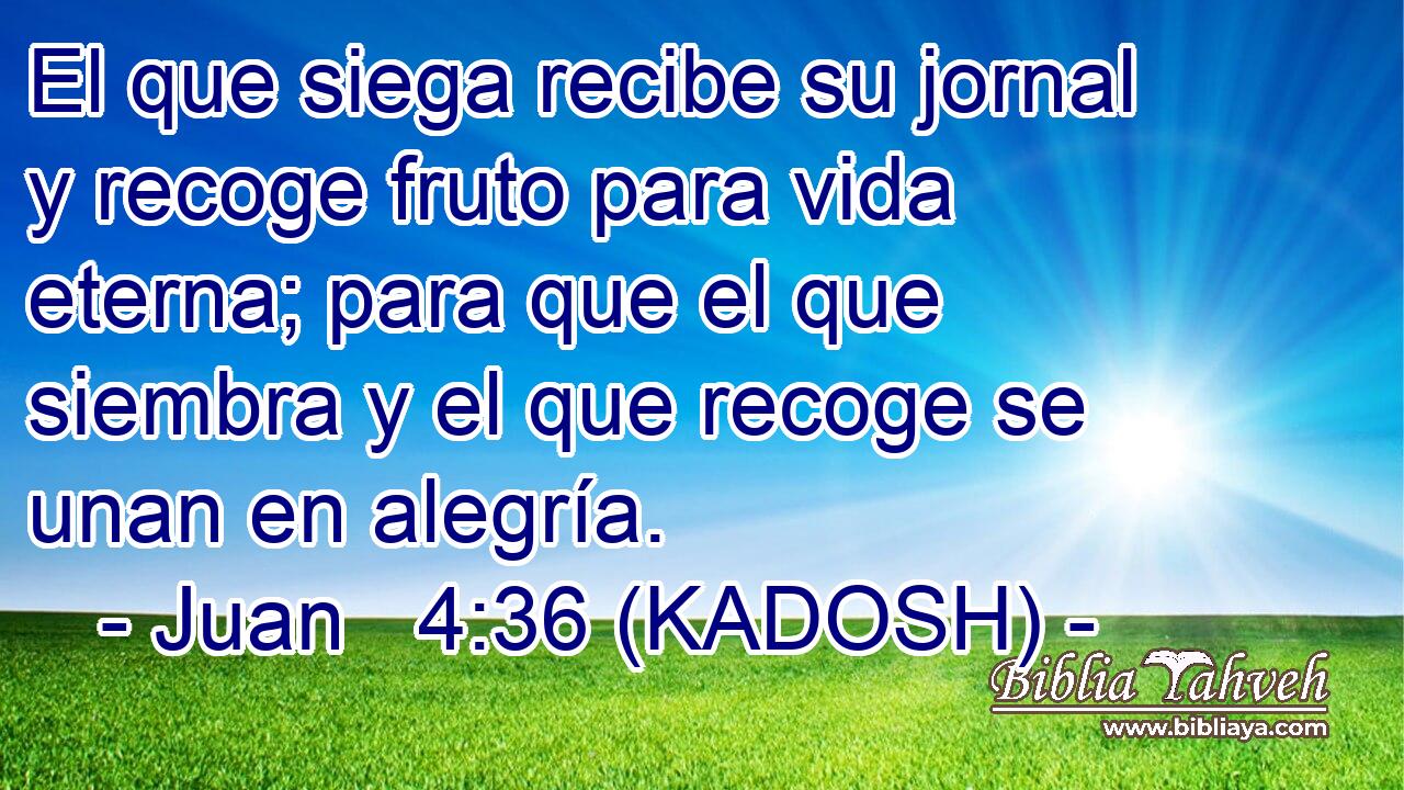  El que siega recibe su jornal y recoge fruto para vida eterna; para que el que siembra y el que recoge se unan en alegría. 