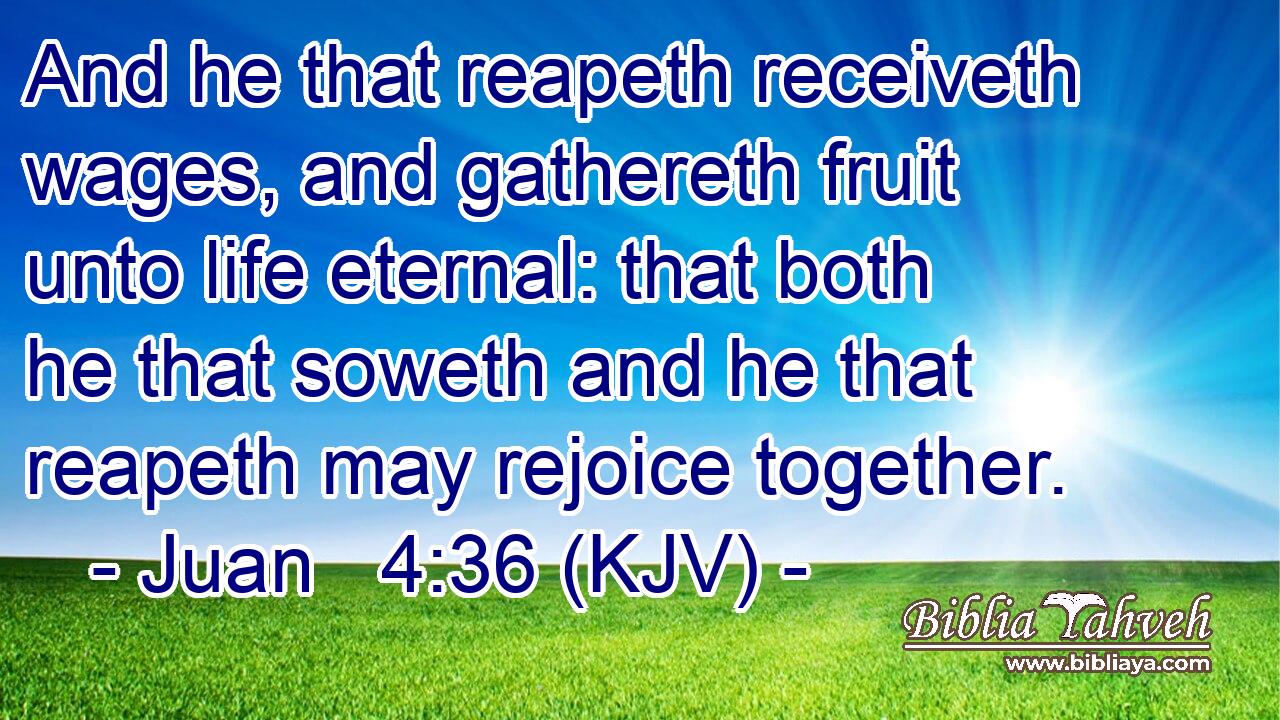 And he that reapeth receiveth wages, and gathereth fruit unto life eternal: that both he that soweth and he that reapeth may rejoice together.