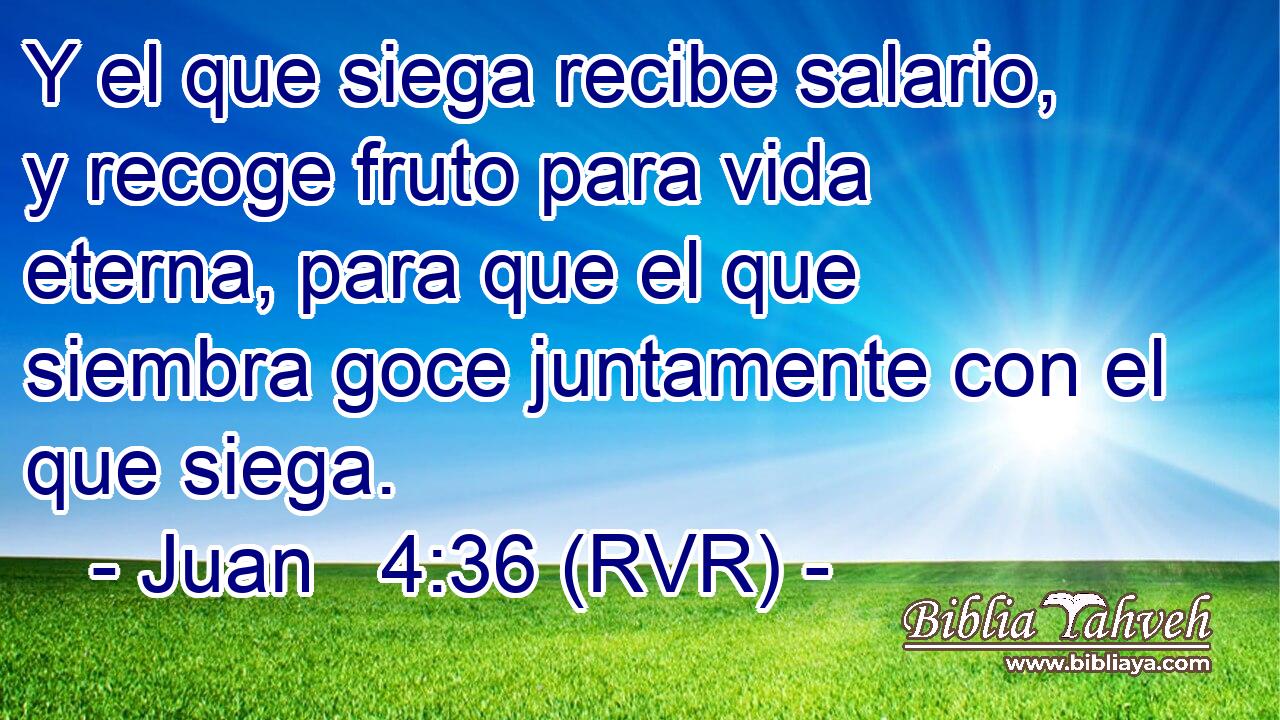Y el que siega recibe salario, y recoge fruto para vida eterna, para que el que siembra goce juntamente con el que siega.