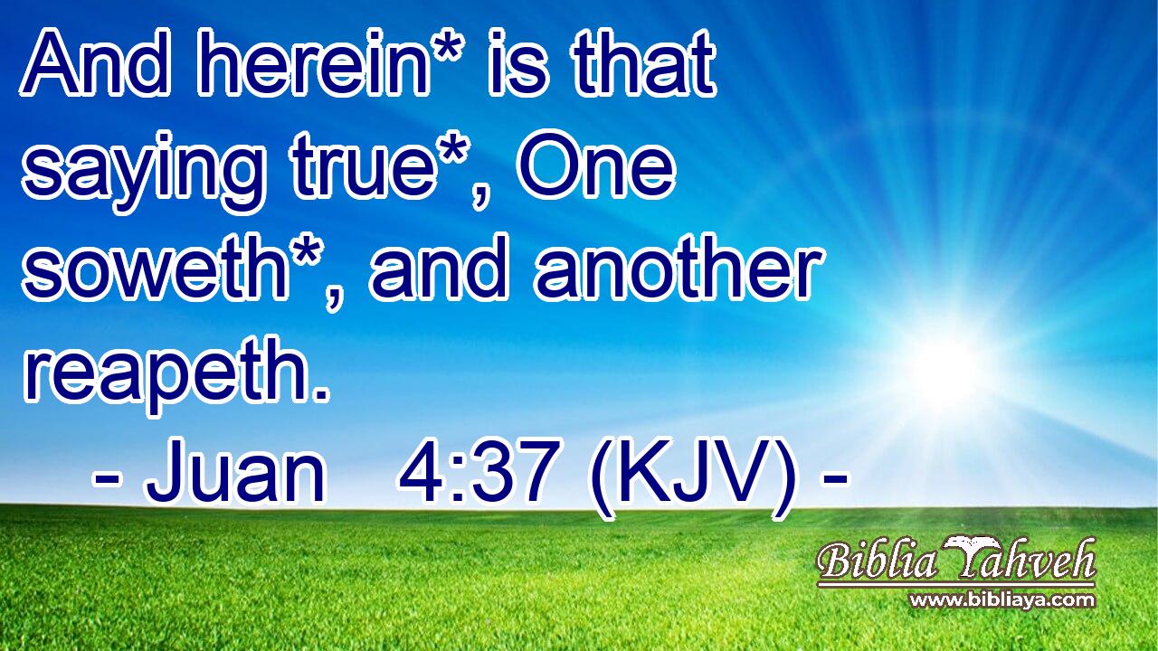 And herein* is that saying true*, One soweth*, and another reapeth.