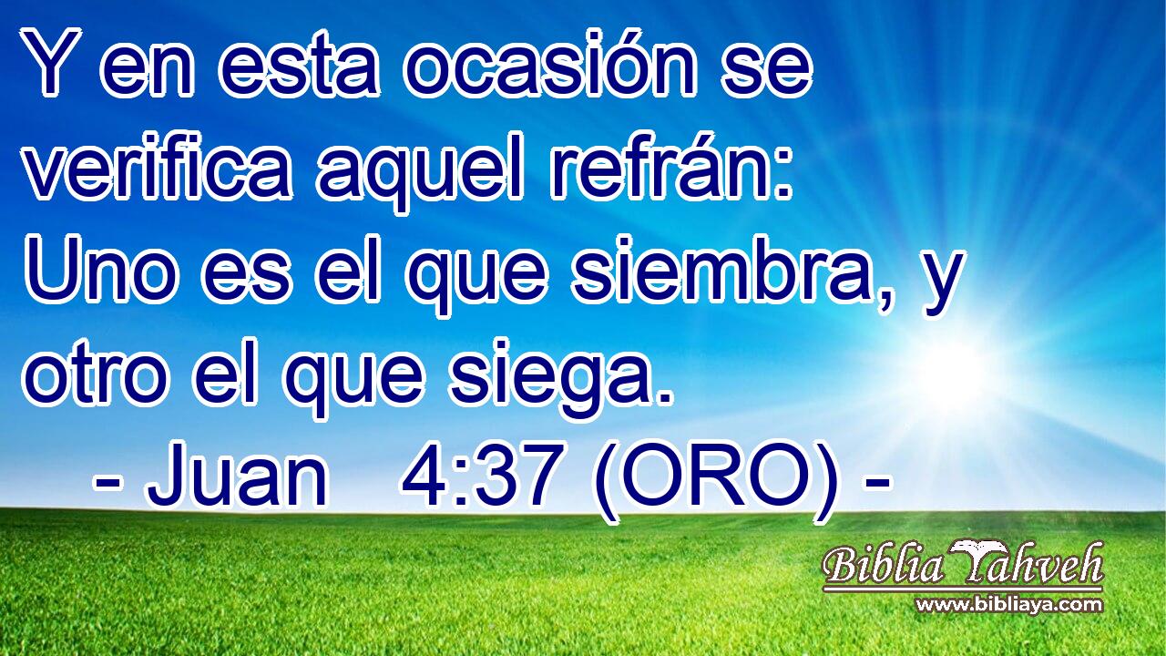  Y en esta ocasión se verifica aquel refrán: Uno es el que siembra, y otro el que siega. 