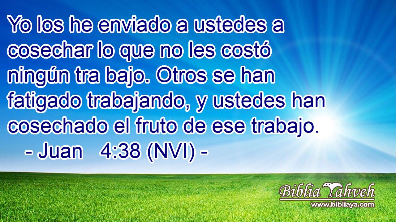  Yo los he enviado a ustedes a cosechar lo que no les costó ningún tra bajo. Otros se han fatigado trabajando, y ustedes han cosechado el fruto de ese trabajo. 