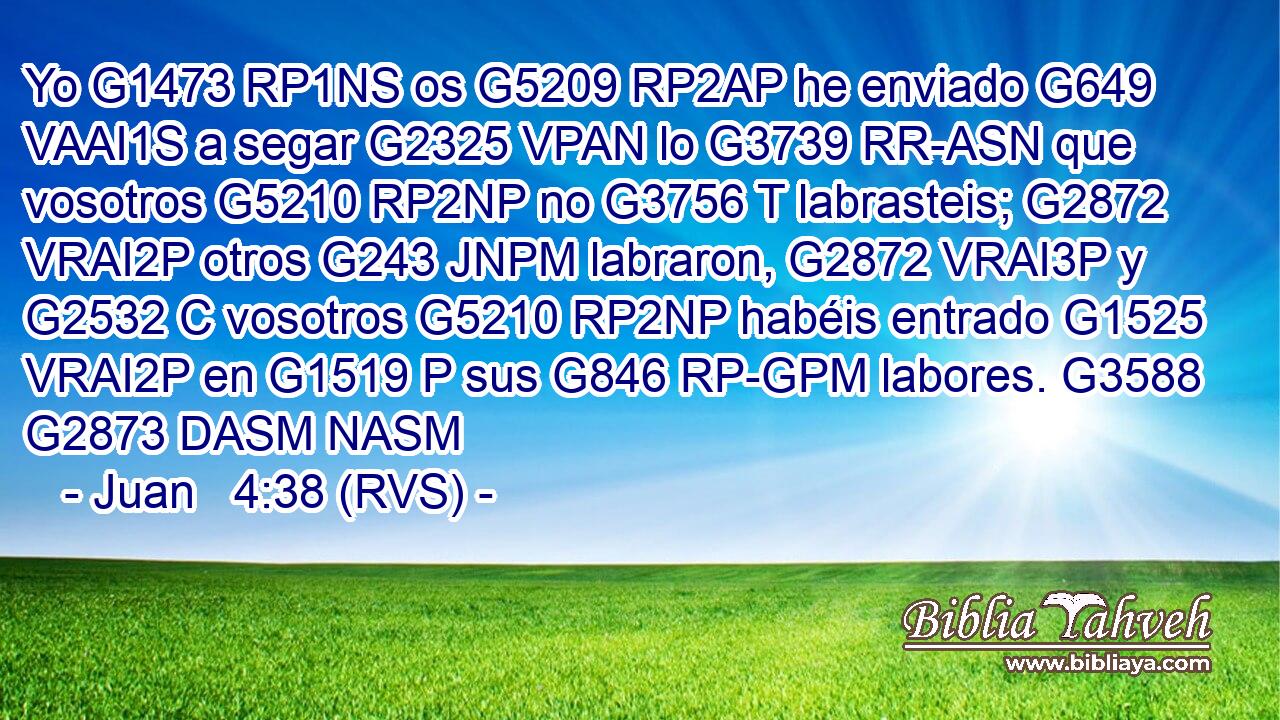 Yo G1473 RP1NS os G5209 RP2AP he enviado G649 VAAI1S a segar G2325 VPAN lo G3739 RR-ASN que vosotros G5210 RP2NP no G3756 T labrasteis; G2872 VRAI2P otros G243 JNPM labraron, G2872 VRAI3P y G2532 C vosotros G5210 RP2NP habéis entrado G1525 VRAI2P en G1519 P sus G846 RP-GPM labores. G3588 G2873 DASM NASM 