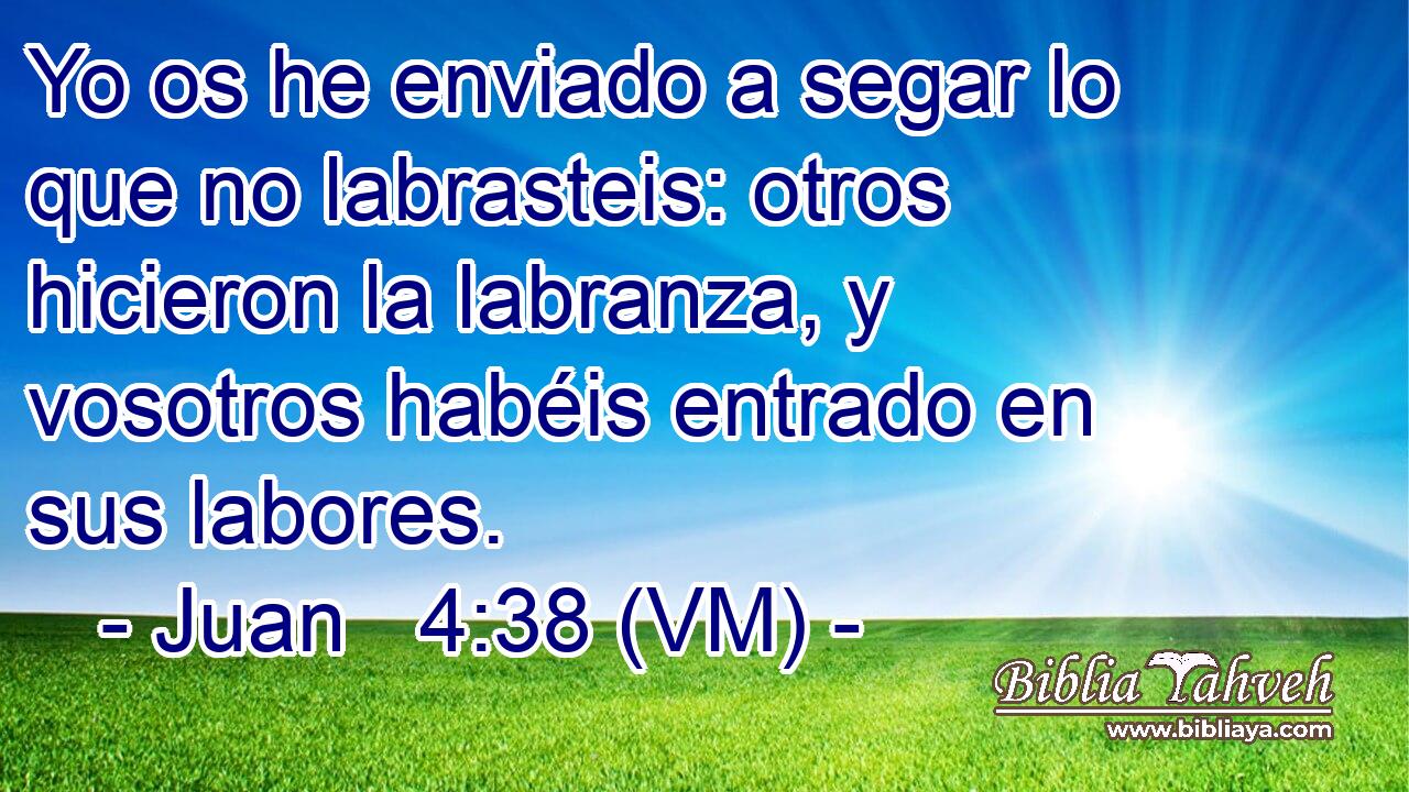  Yo os he enviado a segar lo que no labrasteis: otros hicieron la labranza, y vosotros habéis entrado en sus labores. 