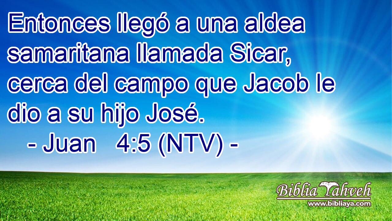Entonces llegó a una aldea samaritana llamada Sicar, cerca del campo que Jacob le dio a su hijo José.