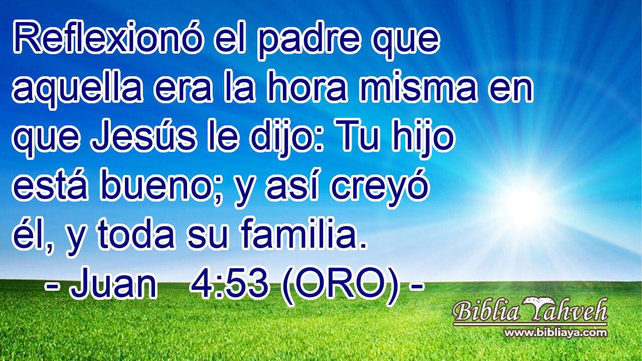  Reflexionó el padre que aquella era la hora misma en que Jesús le dijo: Tu hijo está bueno; y así creyó él, y toda su familia. 
