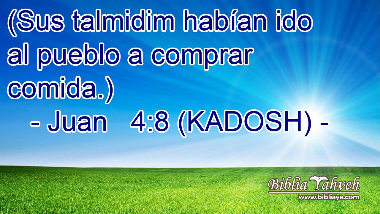 (Sus talmidim habían ido al pueblo a comprar comida.) 