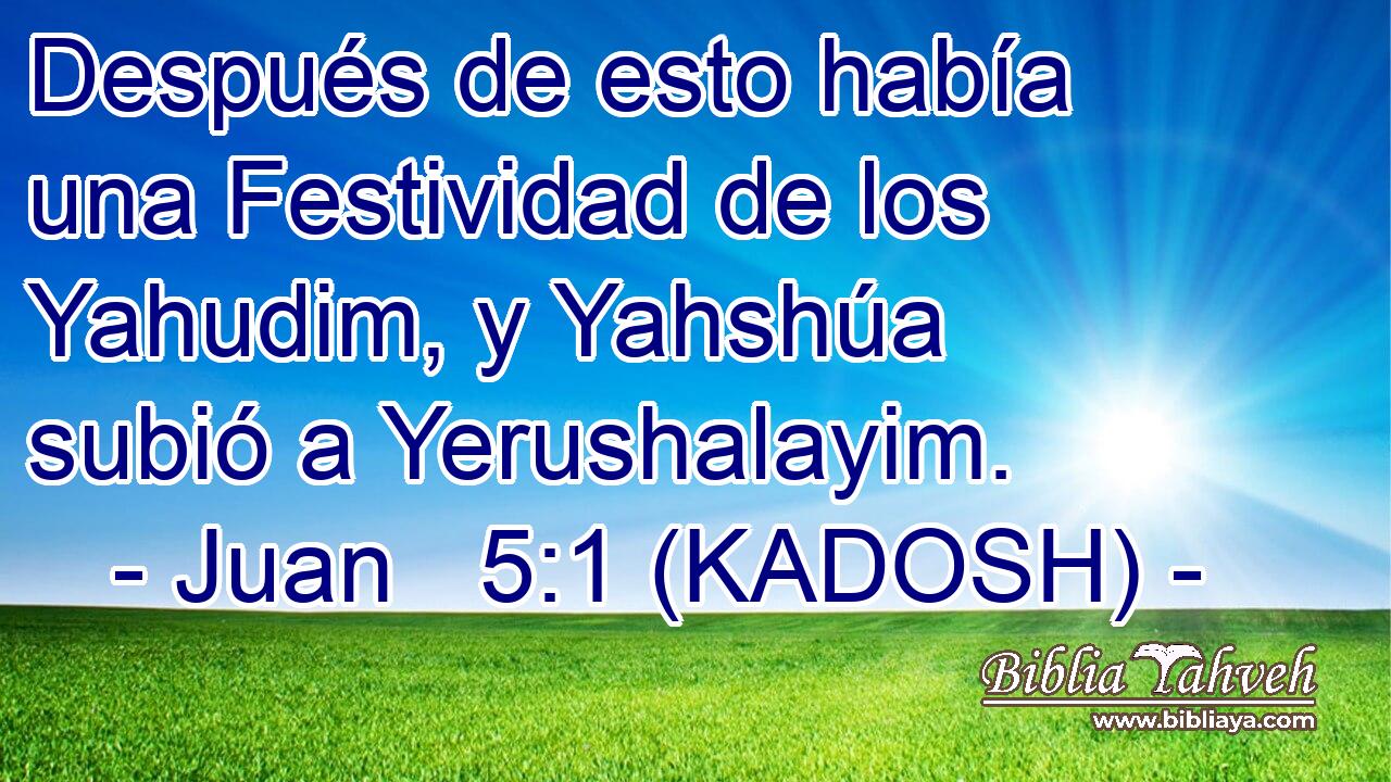  Después de esto había una Festividad de los Yahudim, y Yahshúa subió a Yerushalayim. 