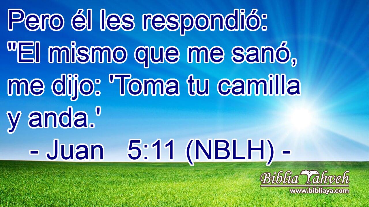  Pero él les respondió: 