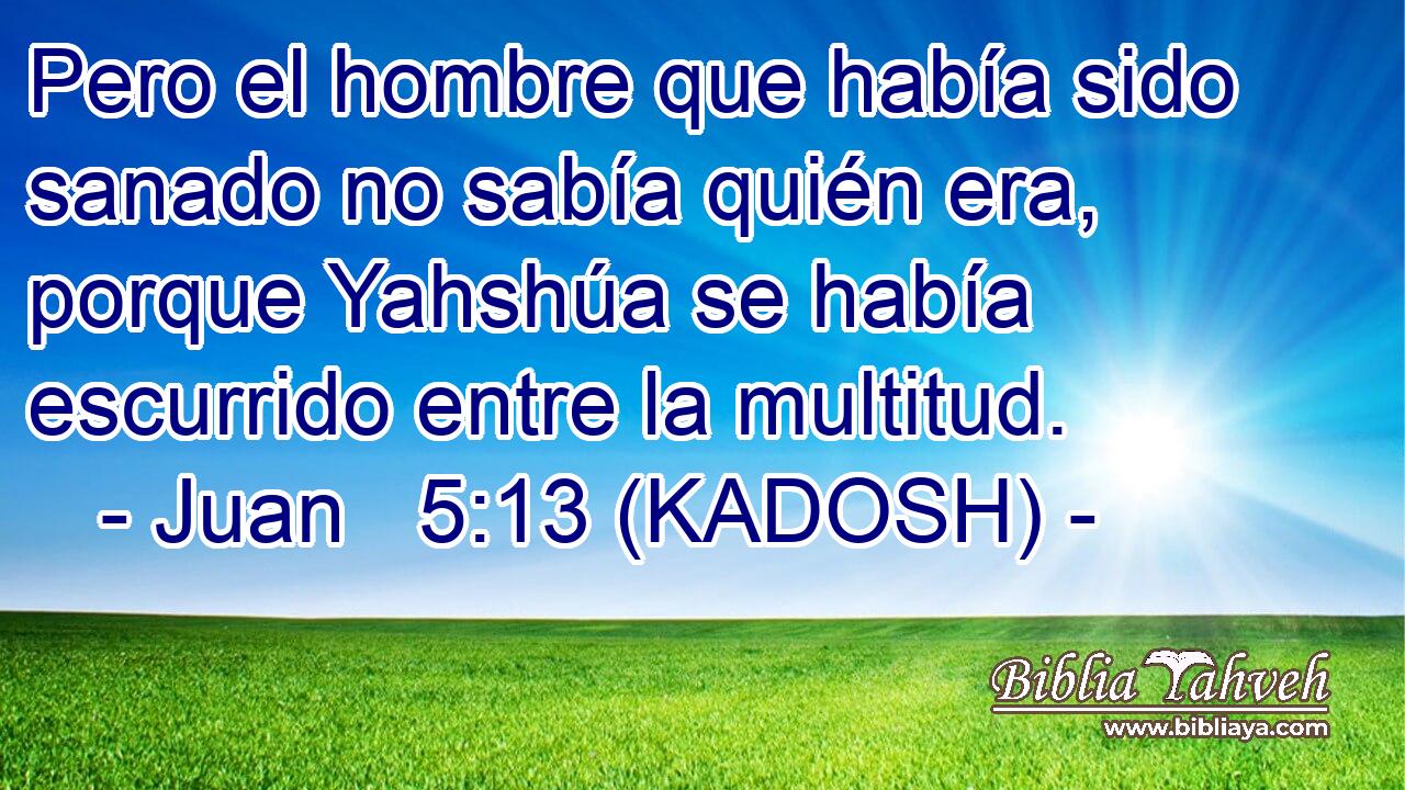  Pero el hombre que había sido sanado no sabía quién era, porque Yahshúa se había escurrido entre la multitud. 