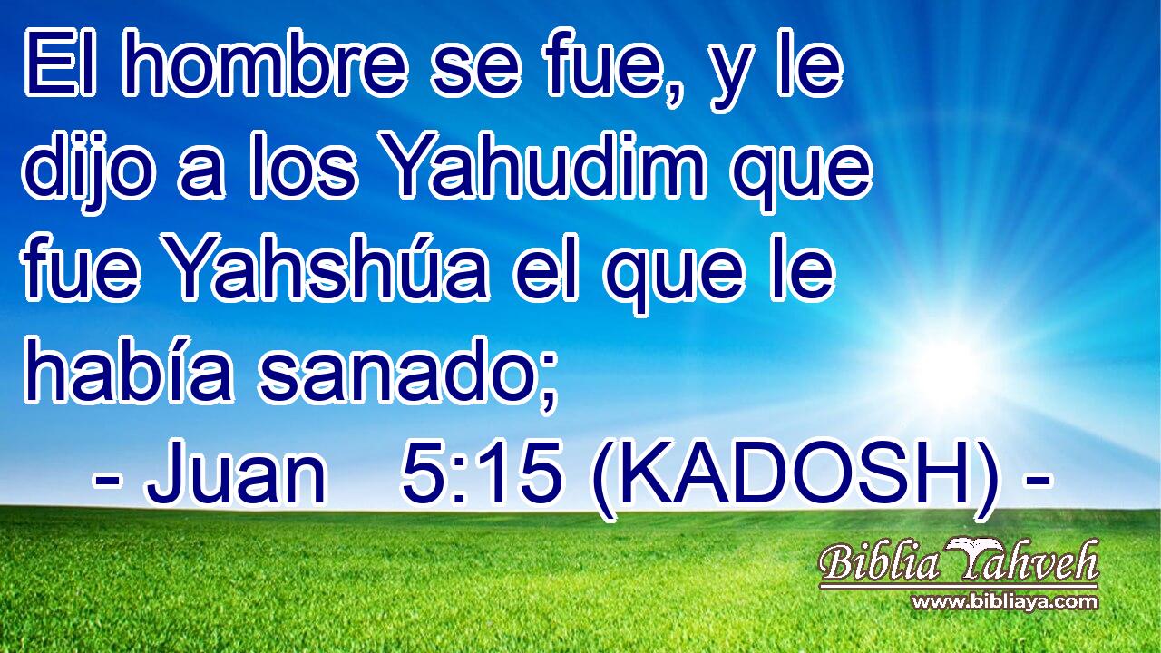  El hombre se fue, y le dijo a los Yahudim que fue Yahshúa el que le había sanado; 
