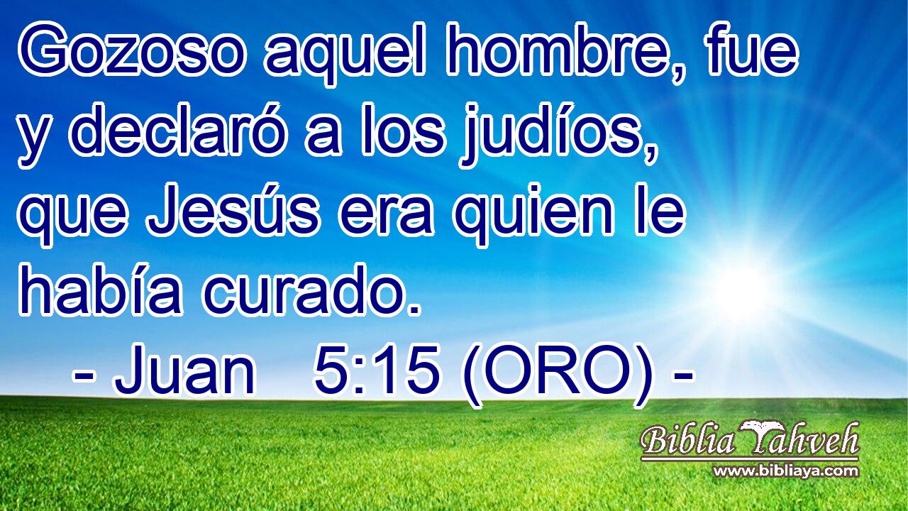  Gozoso aquel hombre, fue y declaró a los judíos, que Jesús era quien le había curado. 