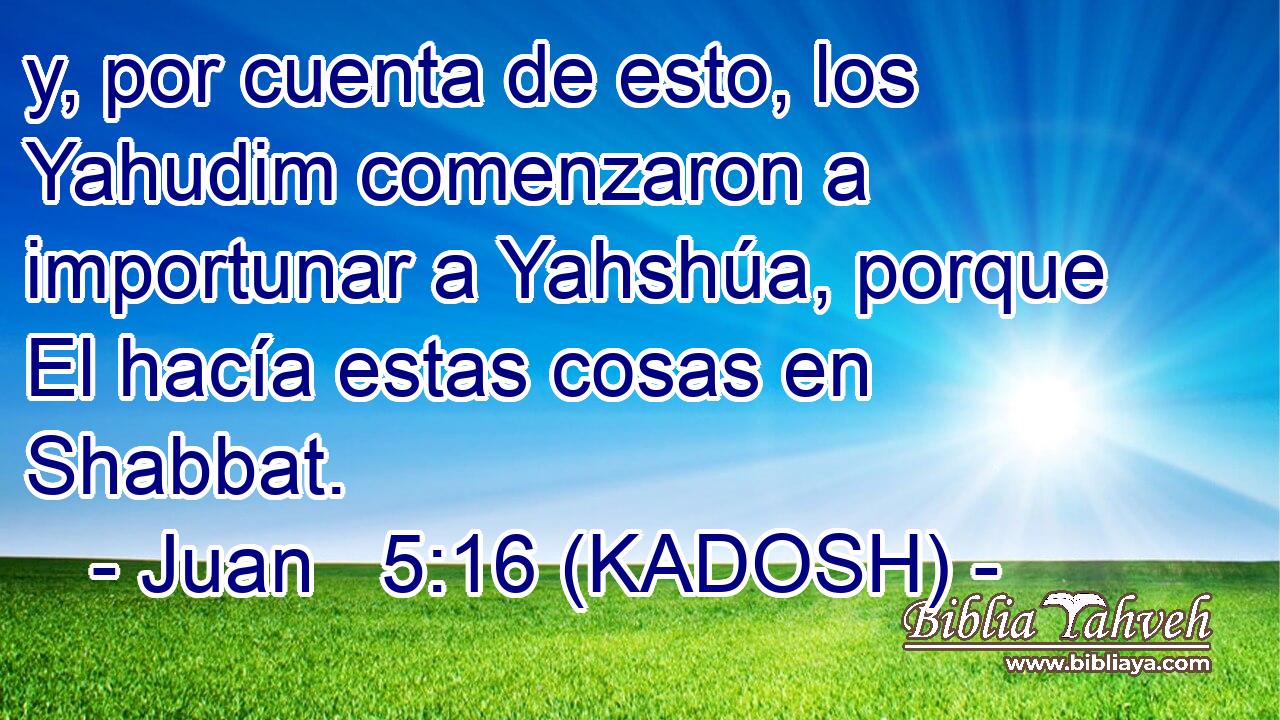  y, por cuenta de esto, los Yahudim comenzaron a importunar a Yahshúa, porque El hacía estas cosas en Shabbat. 