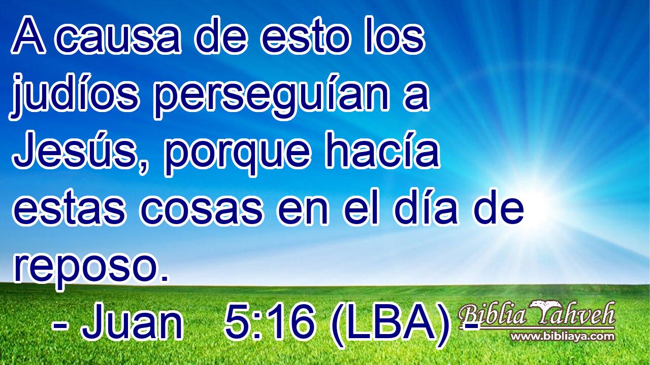 A causa de esto los judíos perseguían a Jesús, porque hacía estas cosas en el día de reposo.