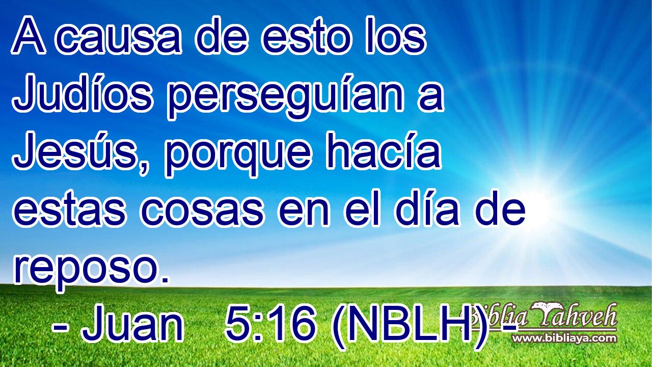  A causa de esto los Judíos perseguían a Jesús, porque hacía estas cosas en el día de reposo. 