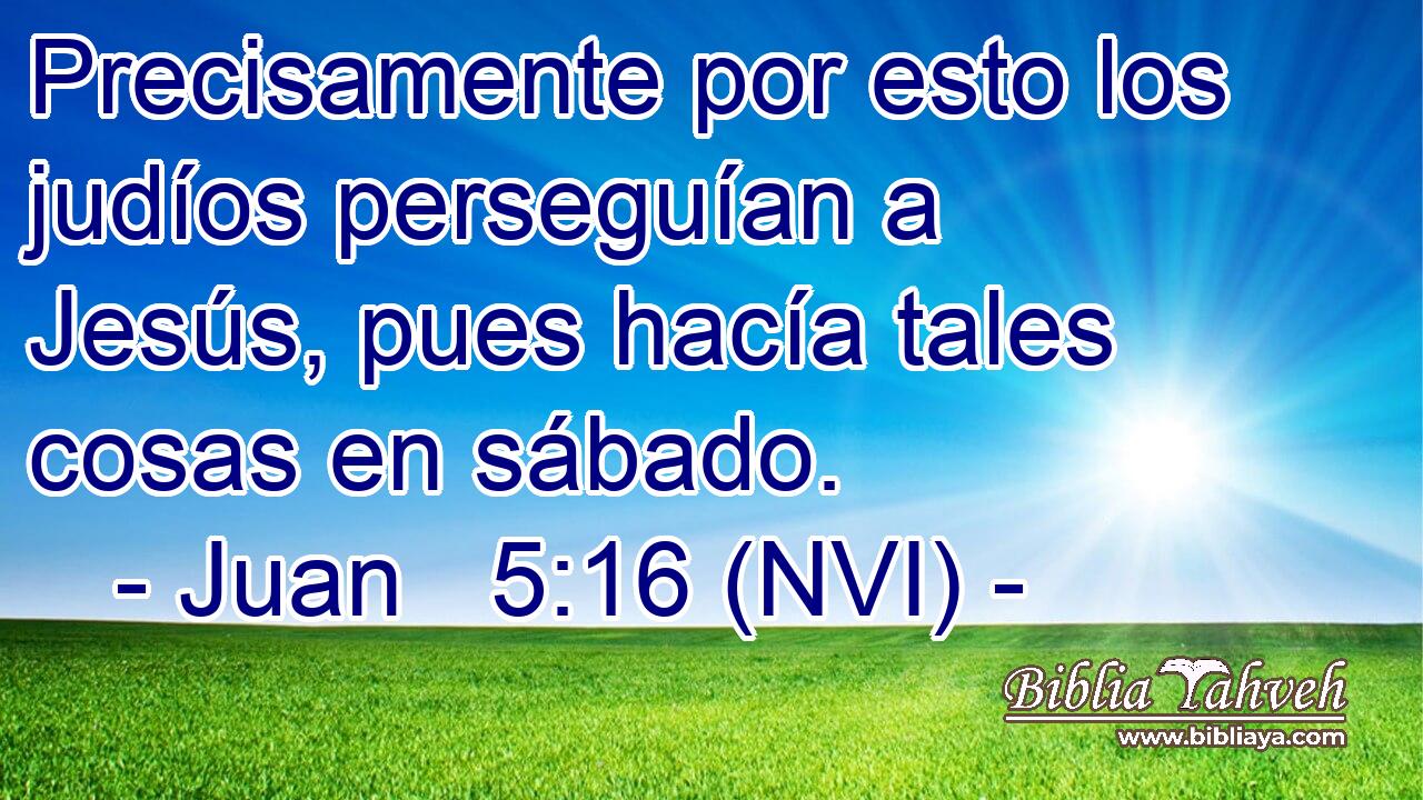  Precisamente por esto los judíos perseguían a Jesús, pues hacía tales cosas en sábado. 