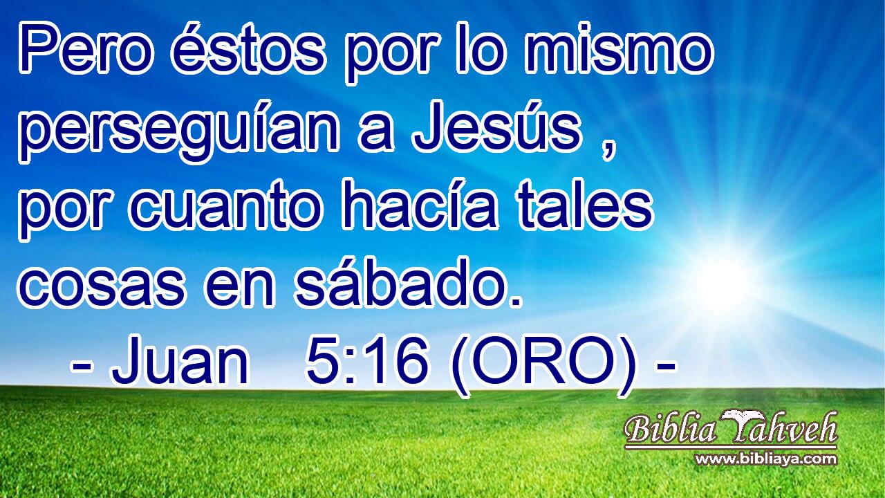 Pero éstos por lo mismo perseguían a Jesús , por cuanto hacía tales cosas en sábado. 