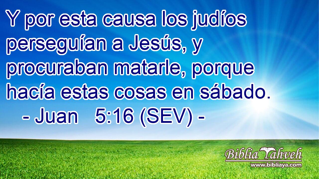 Y por esta causa los judíos perseguían a Jesús, y procuraban matarle, porque hacía estas cosas en sábado.