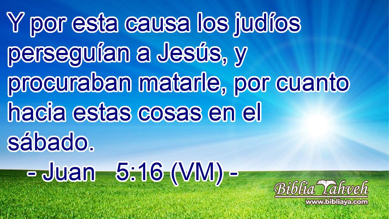  Y por esta causa los judíos perseguían a Jesús, y procuraban matarle, por cuanto hacia estas cosas en el sábado. 