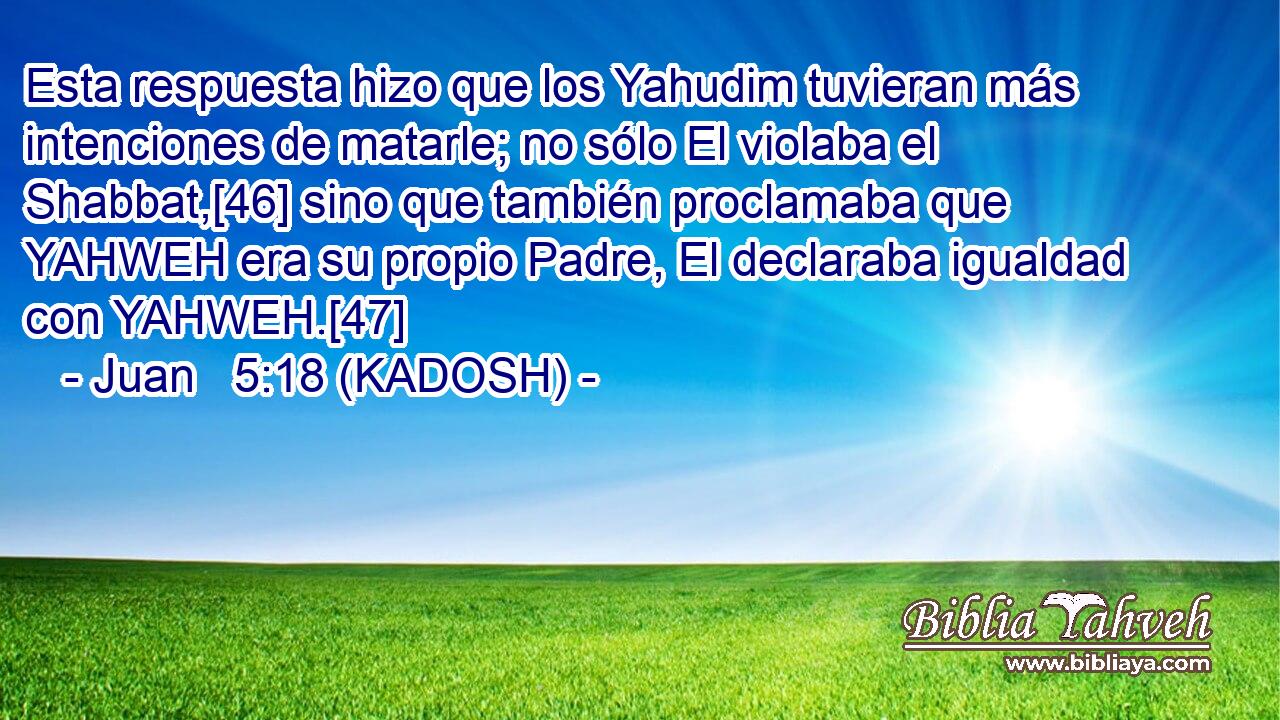  Esta respuesta hizo que los Yahudim tuvieran más intenciones de matarle; no sólo El violaba el Shabbat,[46] sino que también proclamaba que YAHWEH era su propio Padre, El declaraba igualdad con YAHWEH.[47] 