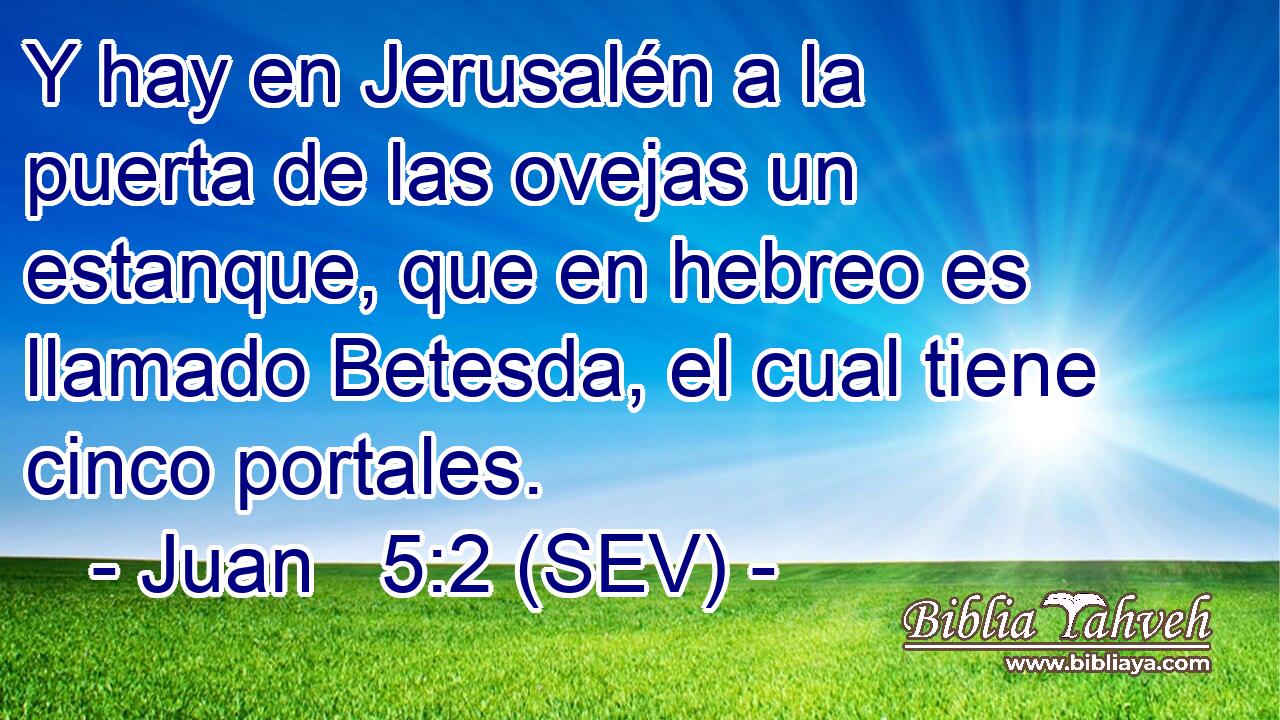 Y hay en Jerusalén a la puerta de las ovejas un estanque, que en hebreo es llamado Betesda, el cual tiene cinco portales.