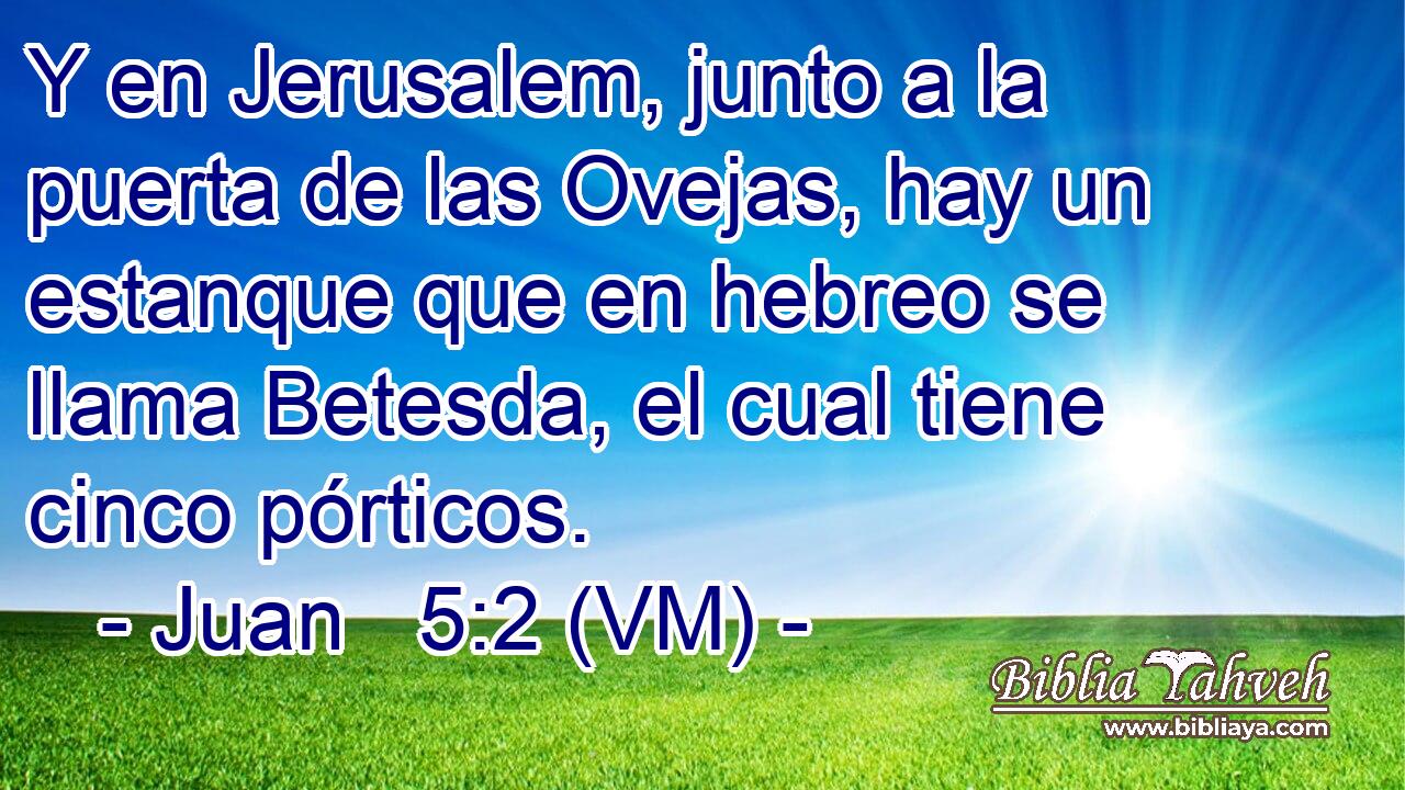  Y en Jerusalem, junto a la puerta de las Ovejas, hay un estanque que en hebreo se llama Betesda, el cual tiene cinco pórticos. 
