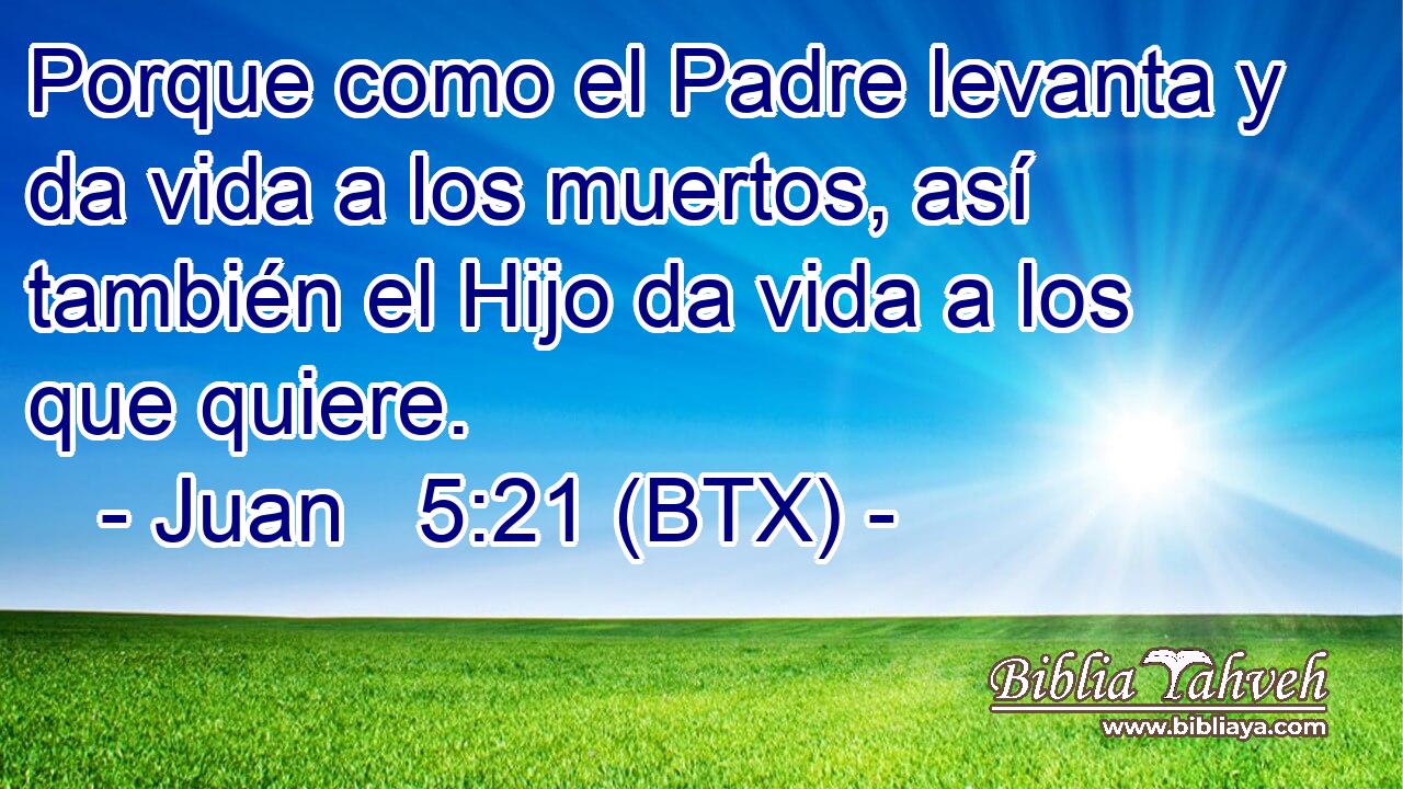 Porque como el Padre levanta y da vida a los muertos, así también el Hijo da vida a los que quiere.