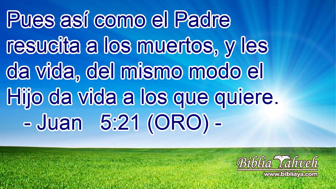  Pues así como el Padre resucita a los muertos, y les da vida, del mismo modo el Hijo da vida a los que quiere. 