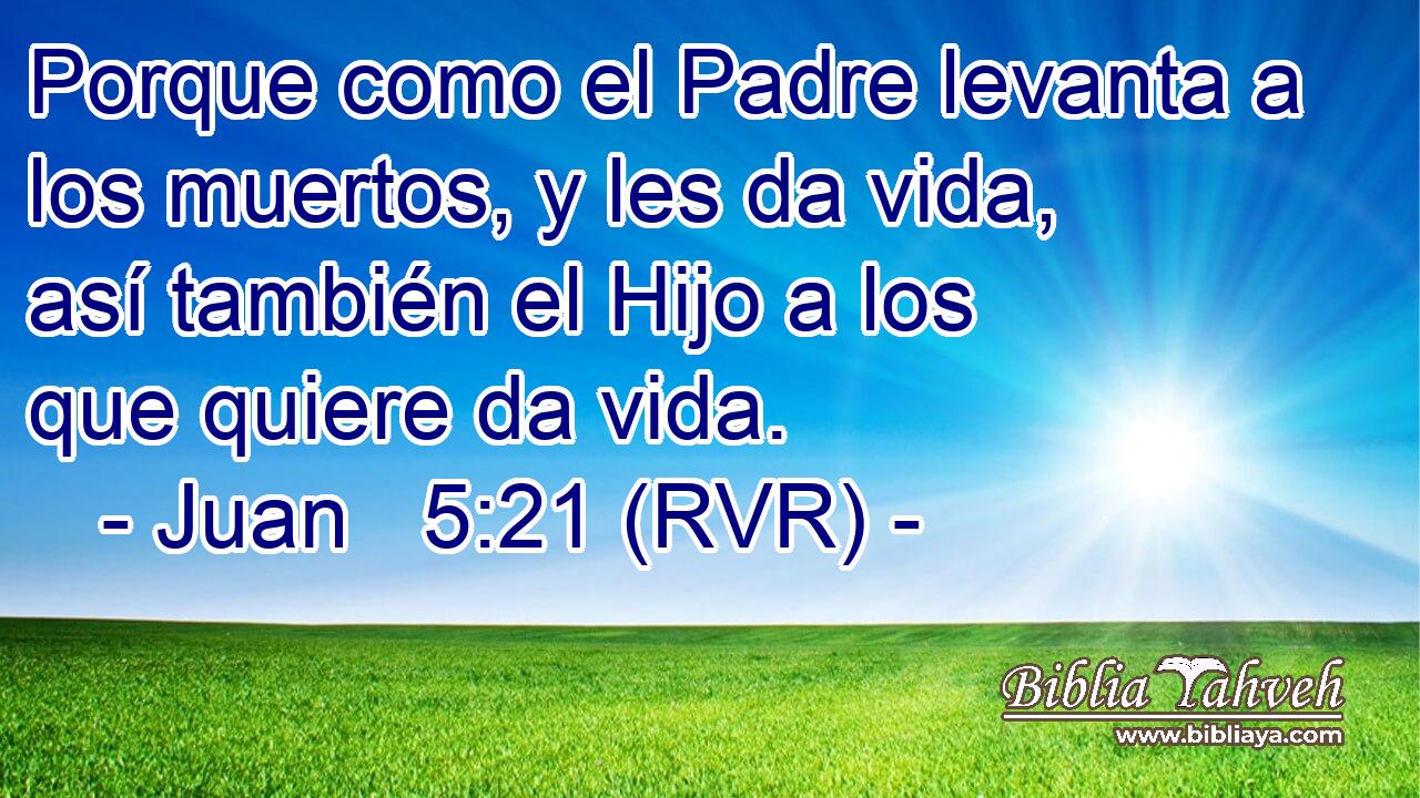 Porque como el Padre levanta a los muertos, y les da vida, así también el Hijo a los que quiere da vida.