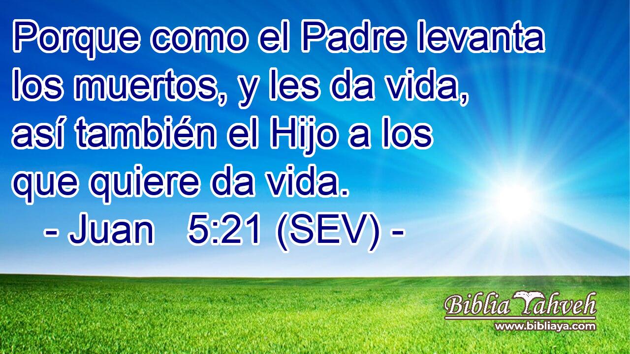 Porque como el Padre levanta los muertos, y les da vida, así también el Hijo a los que quiere da vida.