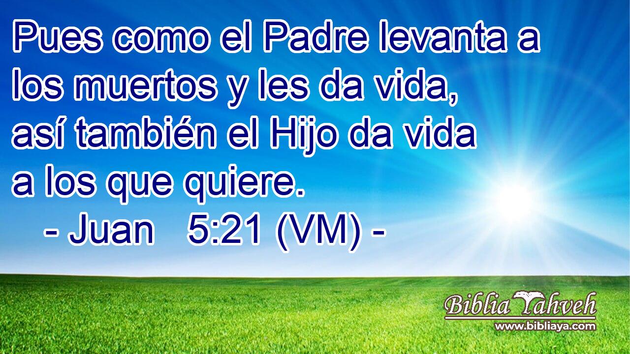  Pues como el Padre levanta a los muertos y les da vida, así también el Hijo da vida a los que quiere. 