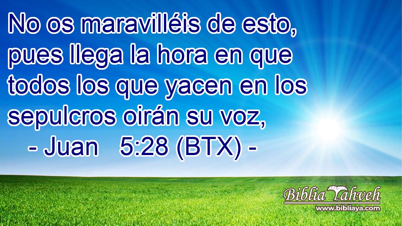 No os maravilléis de esto, pues llega la hora en que todos los que yacen en los sepulcros oirán su voz,
