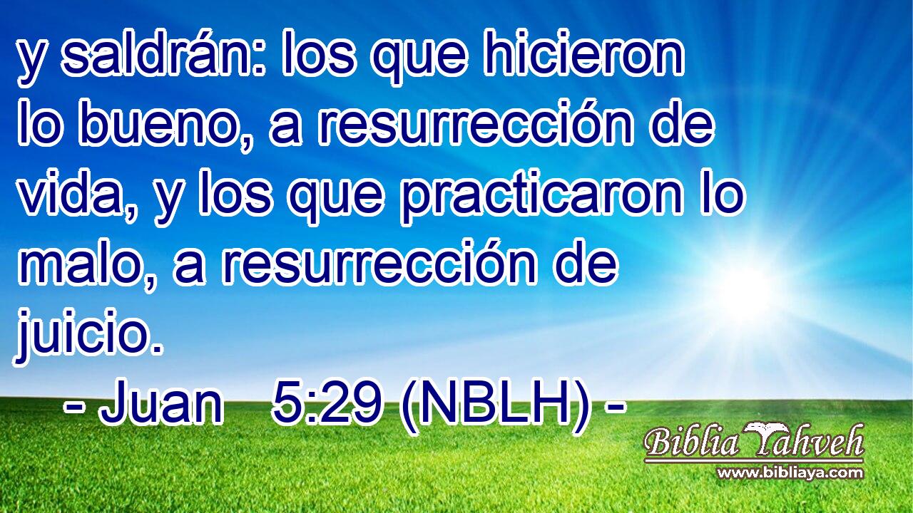  y saldrán: los que hicieron lo bueno, a resurrección de vida, y los que practicaron lo malo, a resurrección de juicio. 