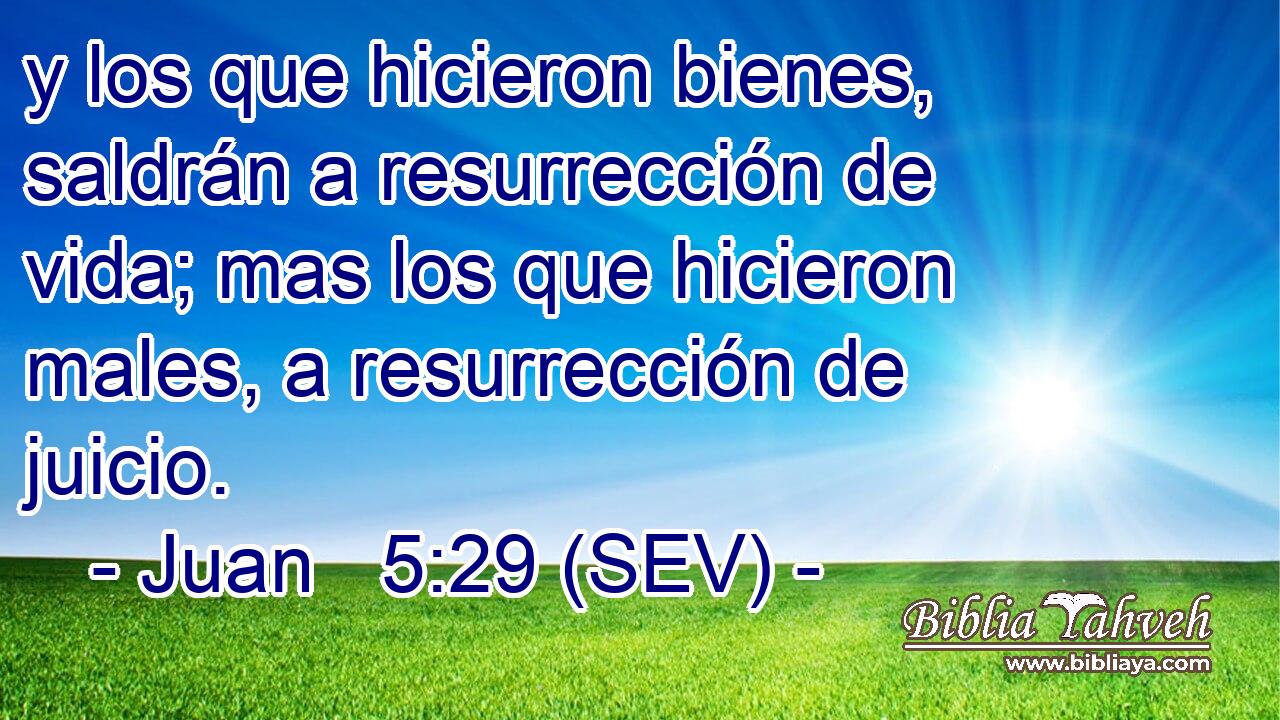 y los que hicieron bienes, saldrán a resurrección de vida; mas los que hicieron males, a resurrección de juicio.