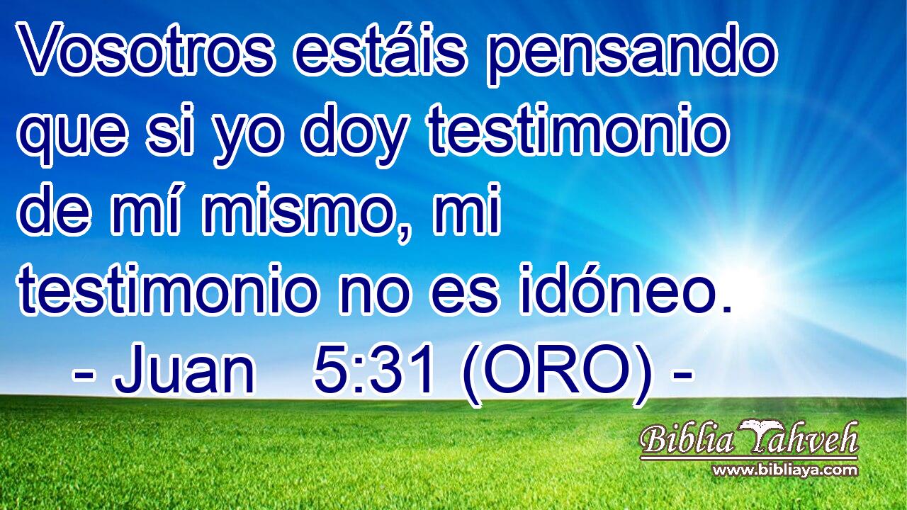  Vosotros estáis pensando que si yo doy testimonio de mí mismo, mi testimonio no es idóneo. 