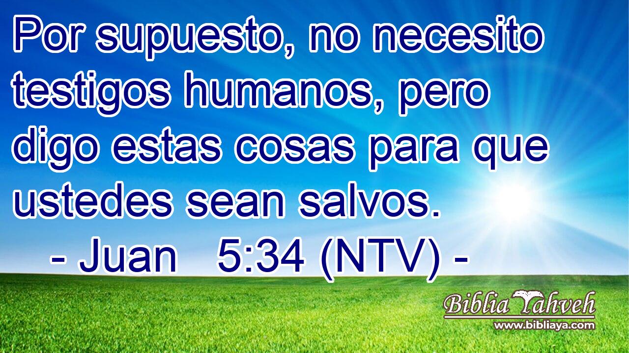 Por supuesto, no necesito testigos humanos, pero digo estas cosas para que ustedes sean salvos.