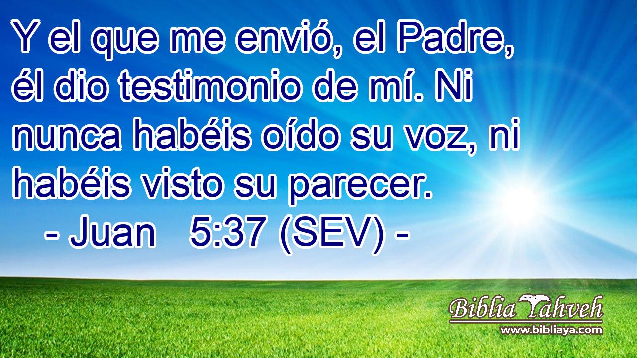 Y el que me envió, el Padre, él dio testimonio de mí. Ni nunca habéis oído su voz, ni habéis visto su parecer.