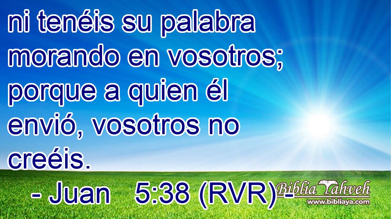 ni tenéis su palabra morando en vosotros; porque a quien él envió, vosotros no creéis.