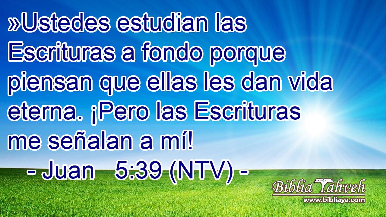 »Ustedes estudian las Escrituras a fondo porque piensan que ellas les dan vida eterna. ¡Pero las Escrituras me señalan a mí!