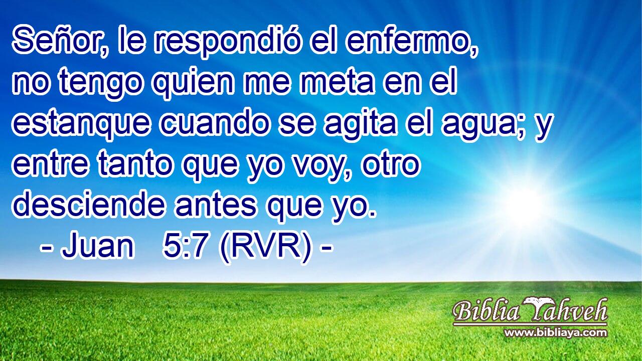Señor, le respondió el enfermo, no tengo quien me meta en el estanque cuando se agita el agua; y entre tanto que yo voy, otro desciende antes que yo.