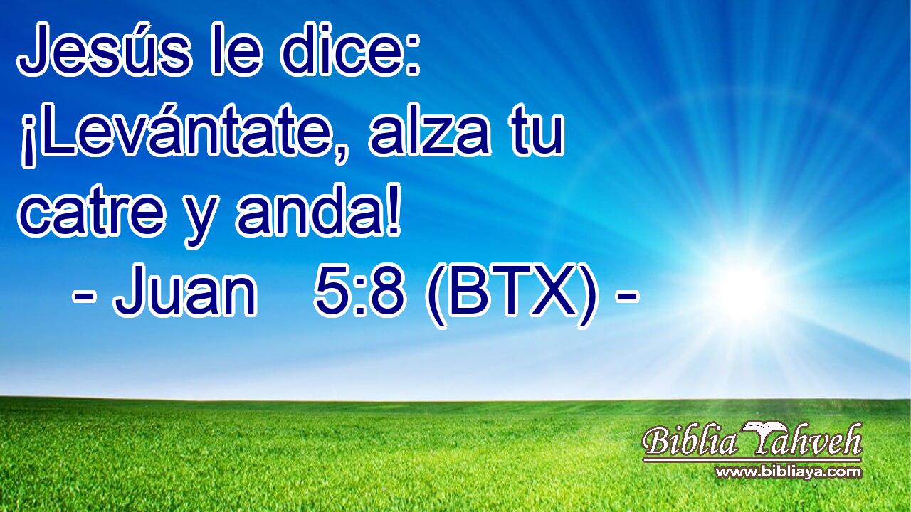Jesús le dice: ¡Levántate, alza tu catre y anda!